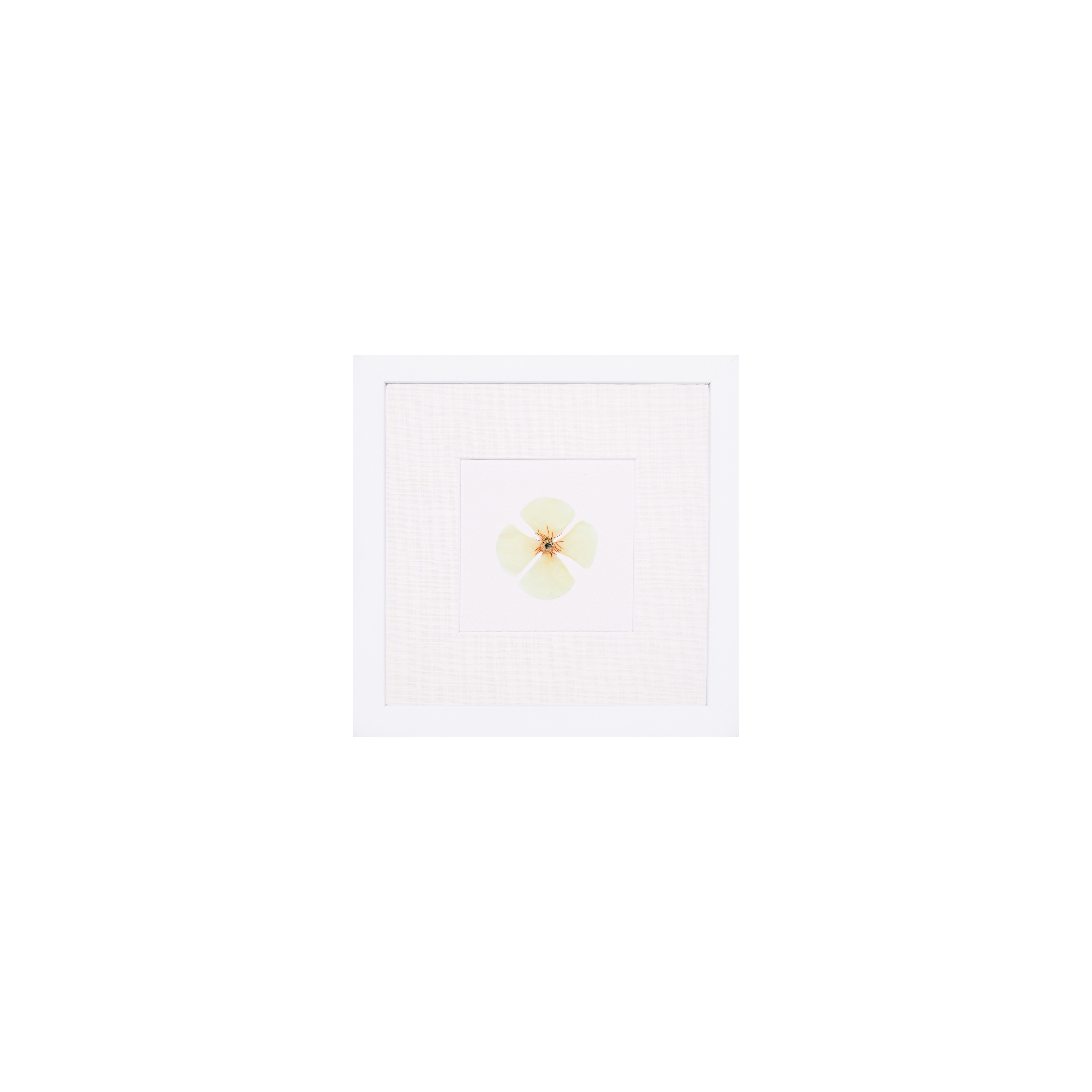 Month:August;Color:Solid White;